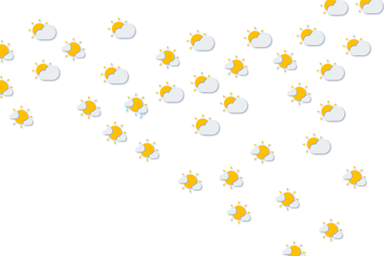 Forecast