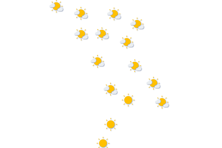 Forecast