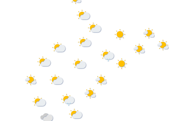 Forecast