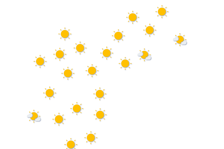 Forecast