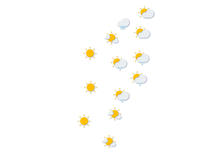 Forecast