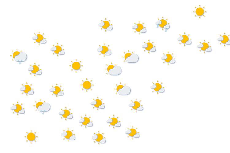 Forecast