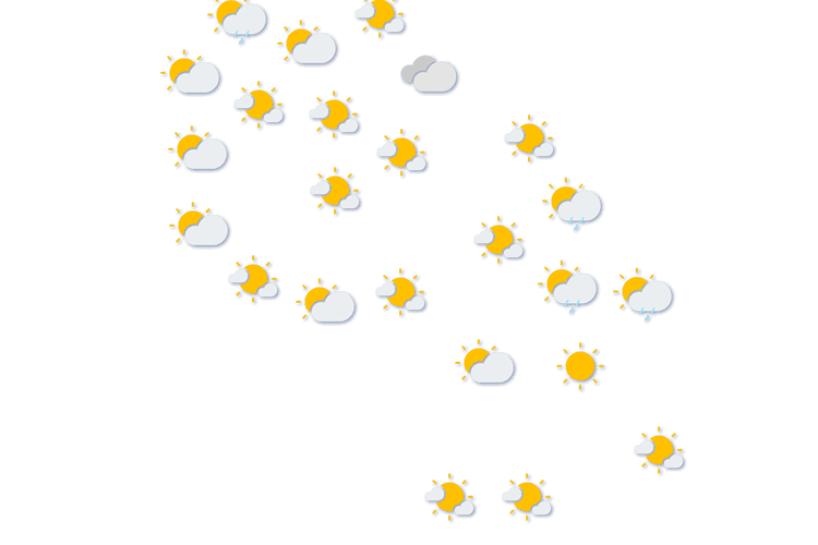 Forecast