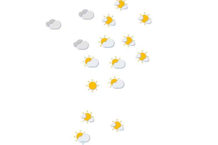 Forecast