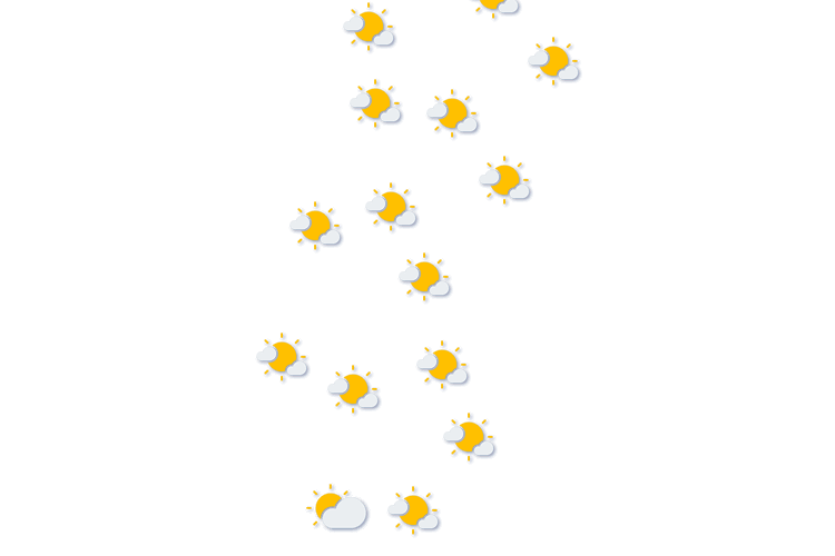 Forecast