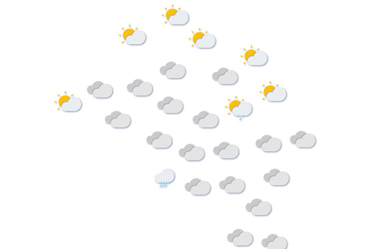 Forecast