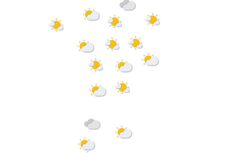 Forecast