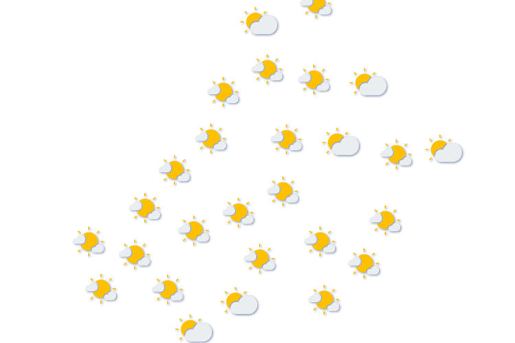 Forecast