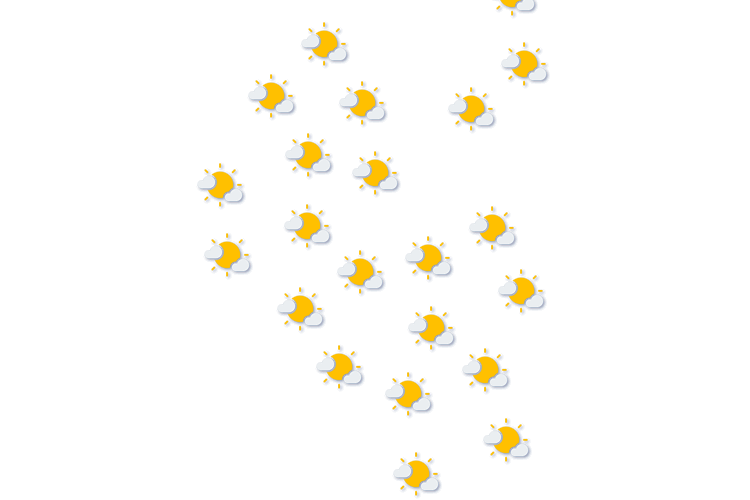 Forecast