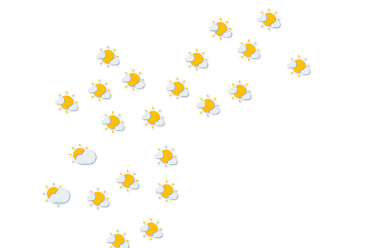 Forecast