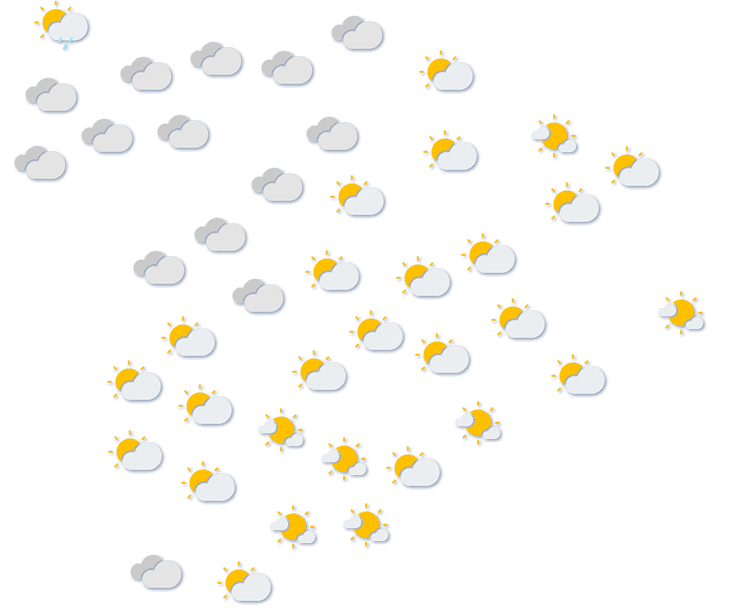 Forecast