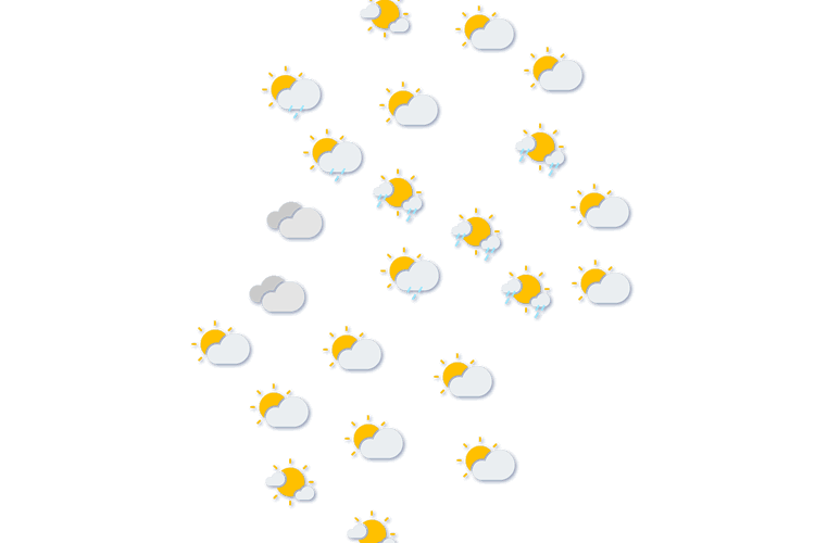 Forecast