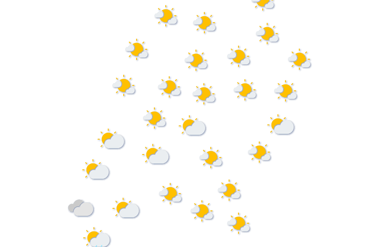 Forecast