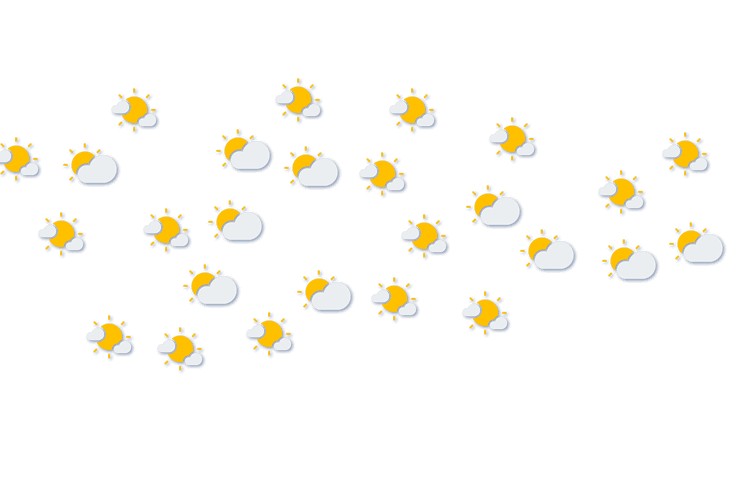 Forecast