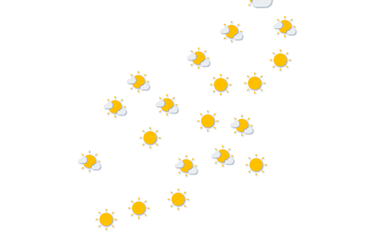 Forecast