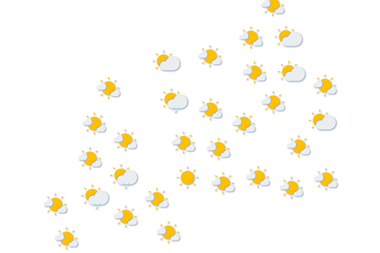 Forecast