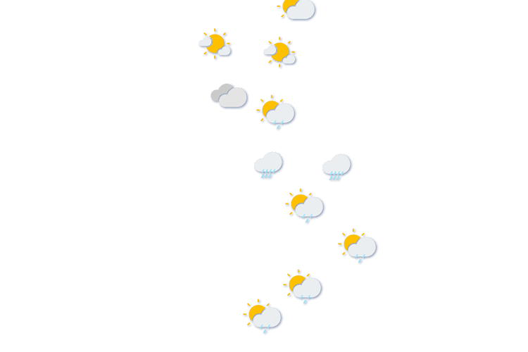 Forecast