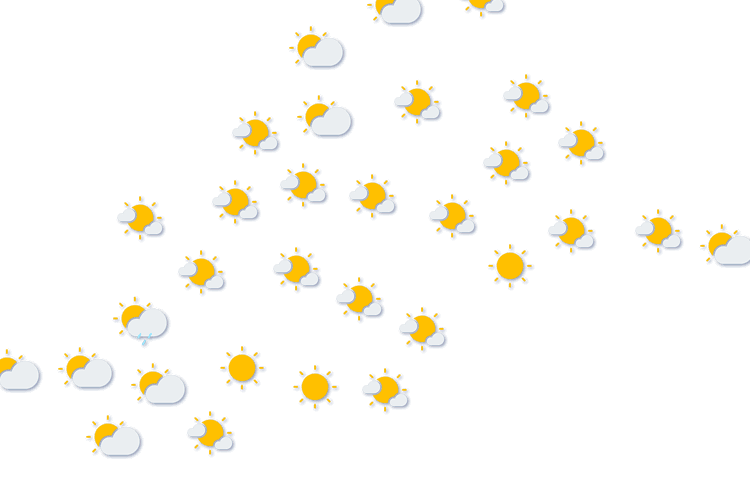 Forecast