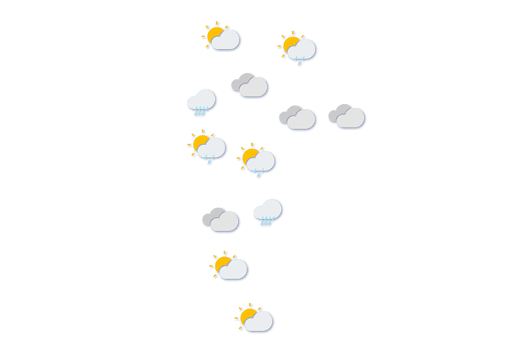 Forecast