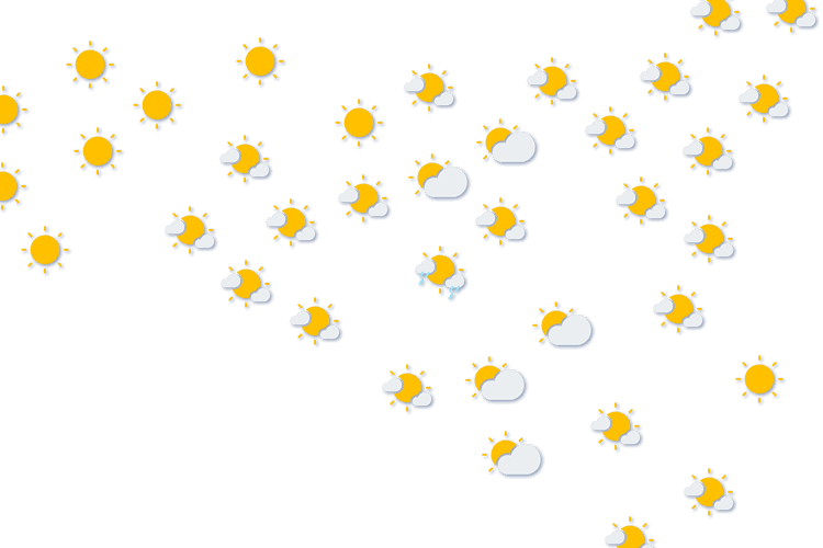 Forecast