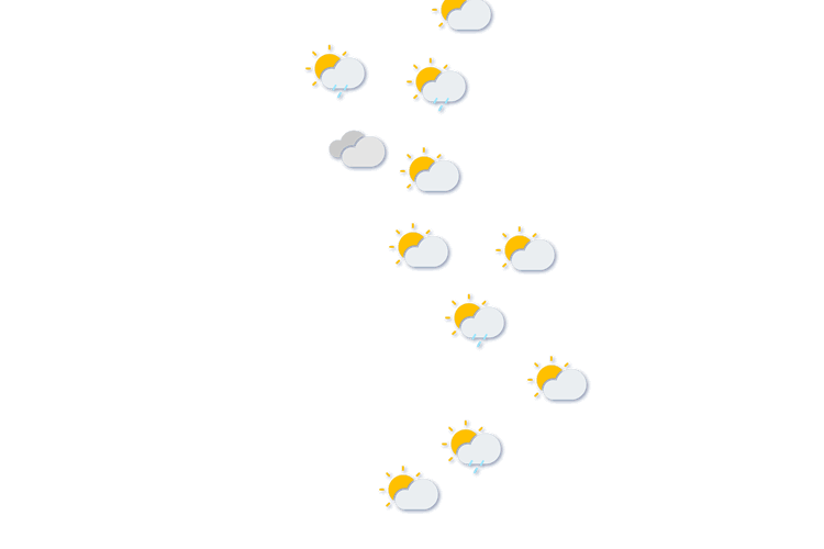 Forecast