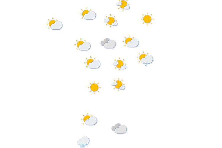 Forecast