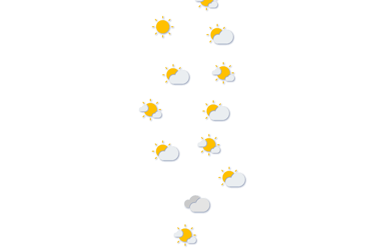 Forecast