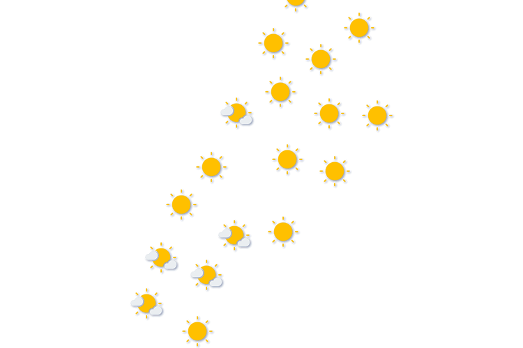 Forecast