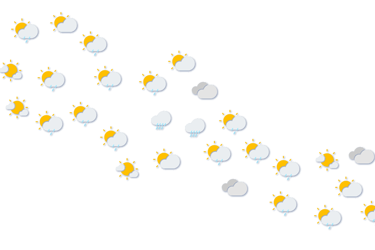 Forecast