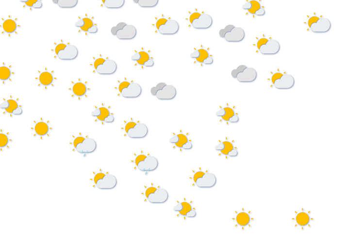 Forecast