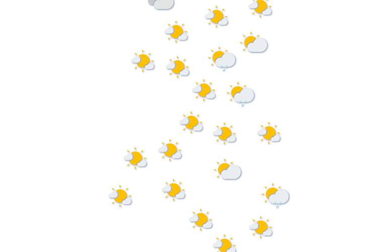 Forecast