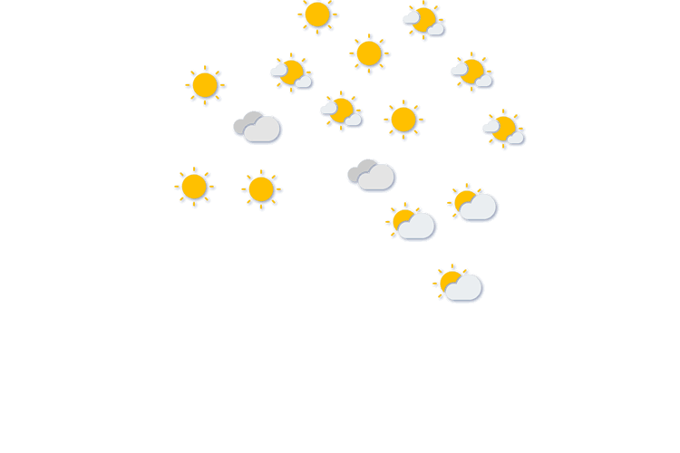 Forecast