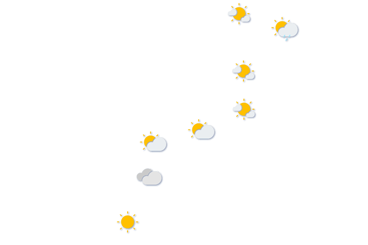 Forecast