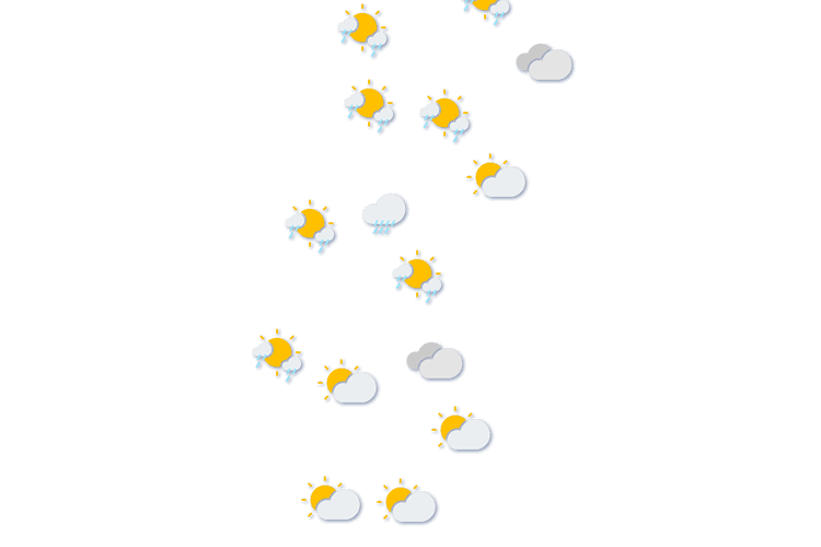 Forecast