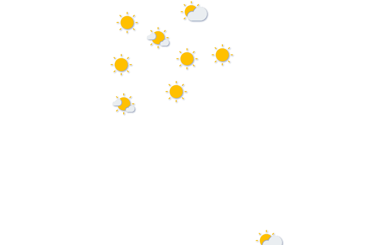Forecast