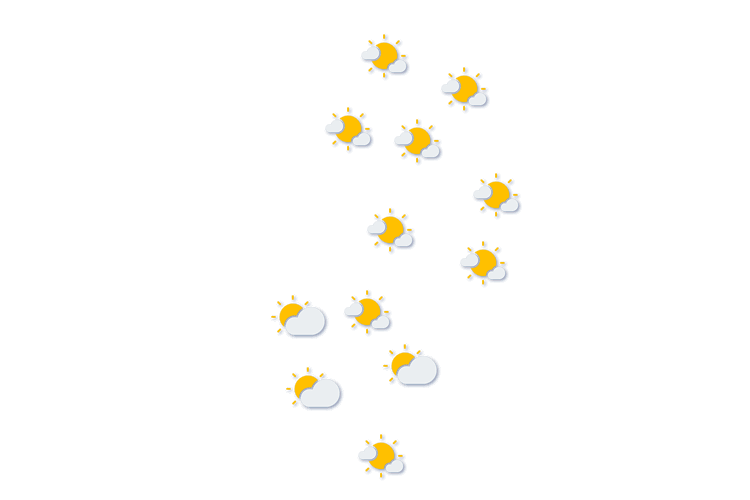 Forecast