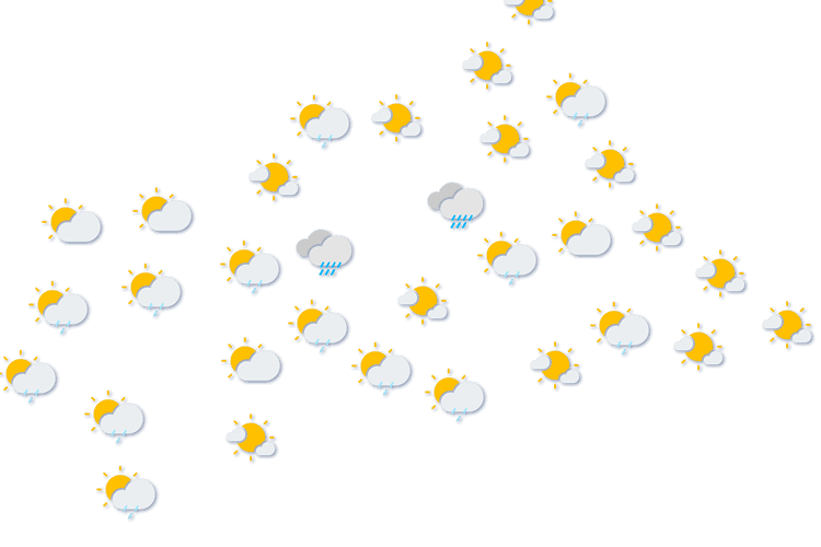 Forecast