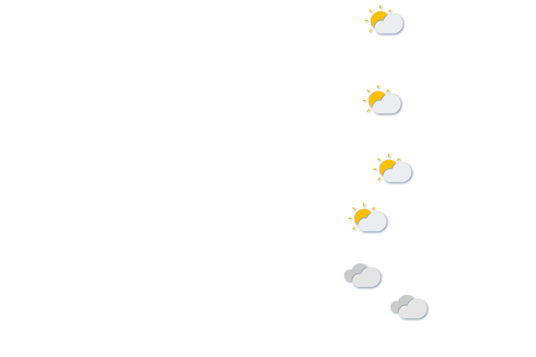 Forecast