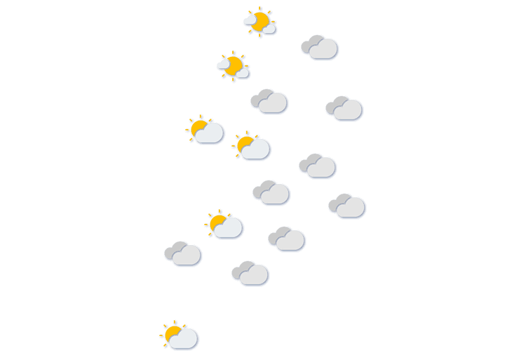 Forecast