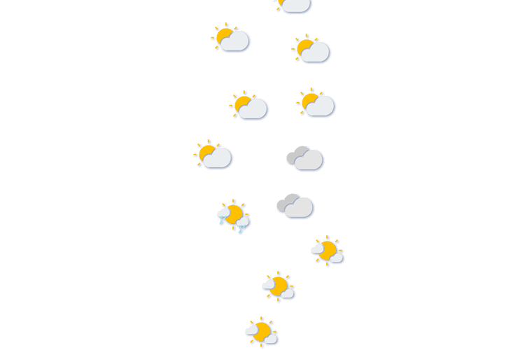 Forecast