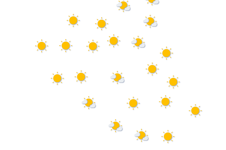 Forecast
