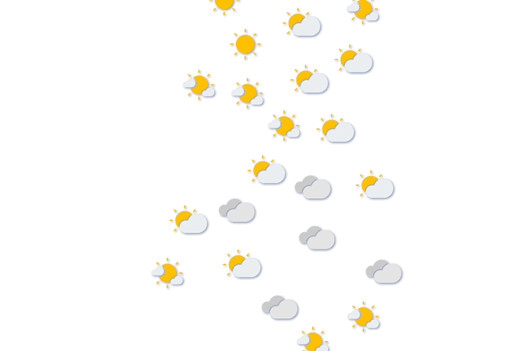 Forecast