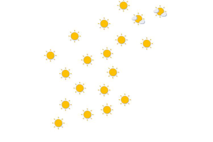 Forecast