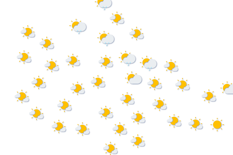 Forecast