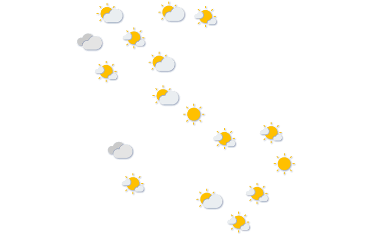 Forecast