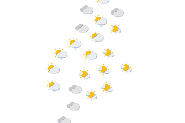 Forecast