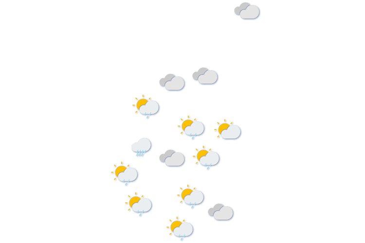 Forecast