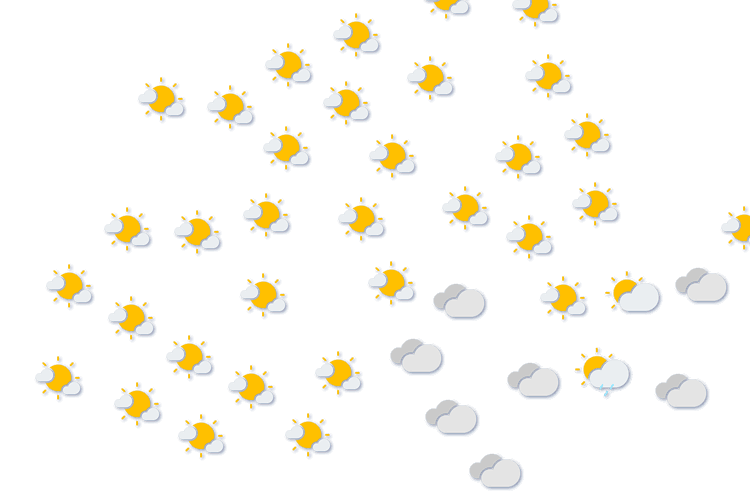 Forecast