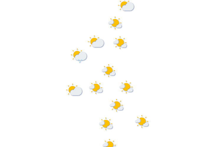 Forecast