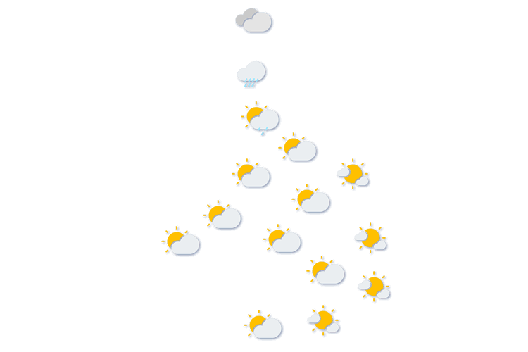 Forecast